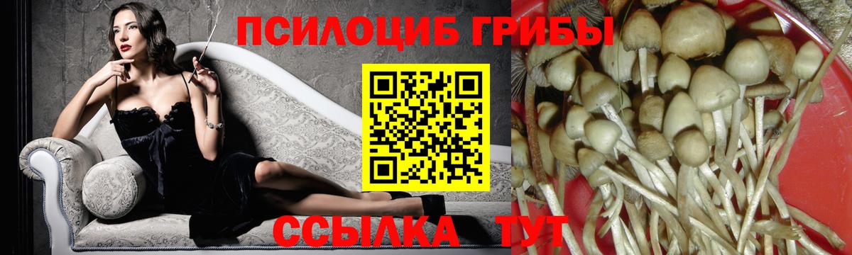 Ангарск  Псилоцибиновые грибы Psilocybine cubensis  Галлюциногенные грибы мицелий  Вход с VPN 